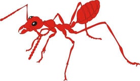 рыжий муравей, клипарт