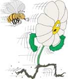 ромашка убегает от пчелы, клипарт
