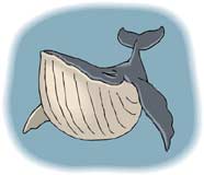 полосатый кит, клипарт