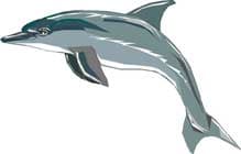 дельфин, клипарт
