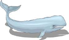 синий кит, клипарт