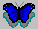 бабочка иконка, icon